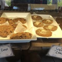   at Church Street Coffee & Books in Mountain Brook