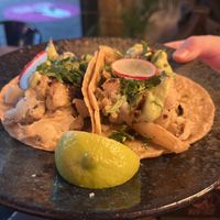   at Holy Taco in Hamburg