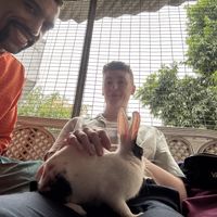 extremely friendly rabbit on staff  at Aum Cafe in Varanasi