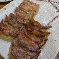 Vegan pan fried gyoza at Gyozaoh Dotonbori in Osaka