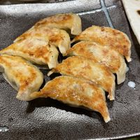 Pan fried vegetable gyoza  at Gyozaoh Dotonbori in Osaka
