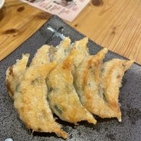 Pan fried veggie gyoza   at Gyozaoh Dotonbori in Osaka