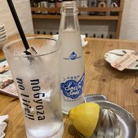 Lemon sour drinks  at Gyozaoh Dotonbori in Osaka