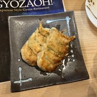   at Gyozaoh Dotonbori in Osaka