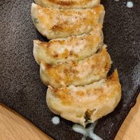 Pan fried Gyoza at Gyozaoh Dotonbori in Osaka