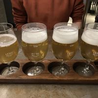 Flight!  at Shilling Brewing Company in Glasgow