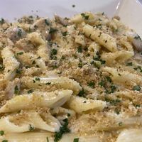 Penne Quattro Formaggi e Porcini at Sora Lella Roman Vegan Restaurant in Edinburgh