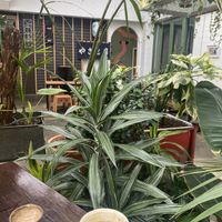  #Veganuary at Barefoot Eatery in Christchurch
