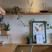  at Colibri in Quebec