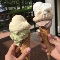 Pistazie, Cookie - Buttermilch Zitrone, Haselnuss Giotto und fior di latte Himbeer Schoko  at Kussmund in Giessen