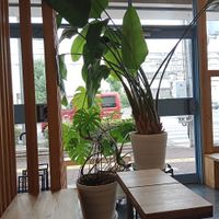  at ANY B&B + Coffee in Nara