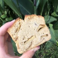 Apple currant bread  at ANY B&B + Coffee in Nara