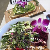 Rosemary Toast and Harvest Salad at Nice Sprout in Houston