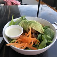 Custom salad bowl! Massive servings of toppings hiding under there! at Nice Sprout in Houston