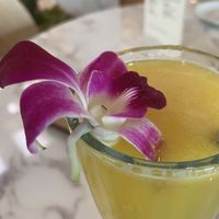 Pineapple and ginger juice—Nice Sprout is the first place to ever give me enough ginger! at Nice Sprout in Houston