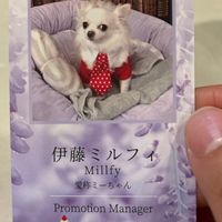   at Fujifuku in Tokyo