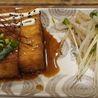 The only photo of the food I took, the vegan mains, Tofu Steak. at Fujifuku in Tokyo