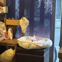   at Fujifuku in Tokyo