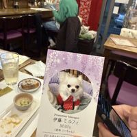   at Fujifuku in Tokyo