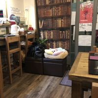 Guarding chihuahua at Fujifuku in Tokyo