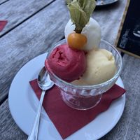 Sorbet dessert  at Multatuli in Ghent