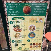   at Falafel Brothers - Shibuya in Tokyo