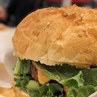  at Falafel Brothers - Shibuya in Tokyo