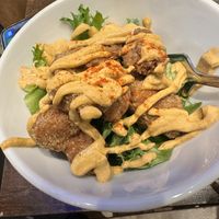 Plant-based Karage  at Falafel Brothers - Shibuya in Tokyo