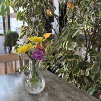   at Violeta in Santiago