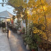   at Violeta in Santiago