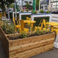 Parklet seating outside at Plum Bistro in Seattle