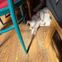   at Love Brew Scarborough in Scarborough