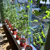   at Love Brew Scarborough in Scarborough