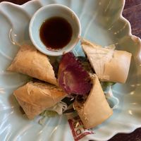 Spring rolls  at Top Tep - Modern Vietnamese Kitchen & Bar in Berlin