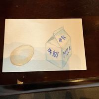 allergy card to specify who’s vegan   at Ashura in Nara