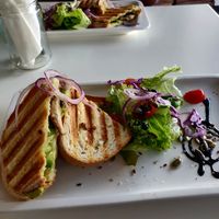Mushroom avocado sandwich at Calma Cafe in Gran Canaria