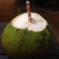 Paper straws at Tukies Coconut Shop - Jl. Monkey Forest in Ubud