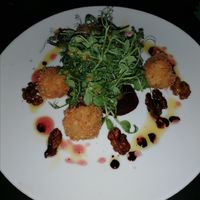 Feta bon bons, candied walnuts on cranberry coulis at Viridian in Bangor