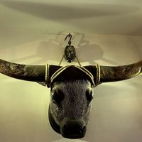 Not the thing to have above the vegan table  at Le Bistrot Viet in Santiago