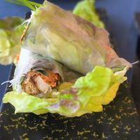 vegan summer rolls at Le Bistrot Viet in Santiago