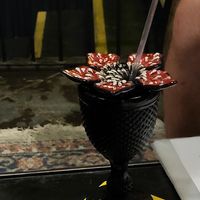 Dart cocktail at Spoiler in Porto Alegre