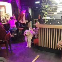 Was a lovely dog. at Mission in Moscow