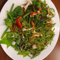 Stir fried chayote shoots with mushrooms at RuìSuì YìZhàn 瑞穗驛站 in Ruisui