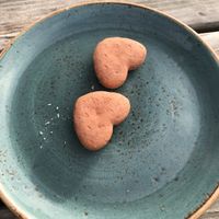 Doggies made welcome at The Plucky Pheasant in Guildford