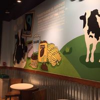 Unfortunately...Ben and Jerry's still sells cow's milk at Ben & Jerry's in Fairfax