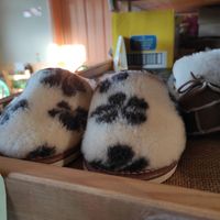 Cosy at An Lar in Dunlavin