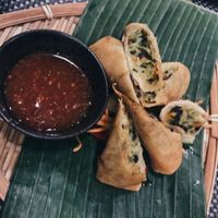 Vegan spring rolls  at Giggling Squid in Norwich