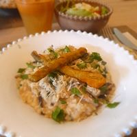 Mushroom Risotto at Raiz in Aveiro