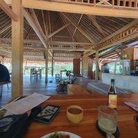  at Saifana Organic Farm in 