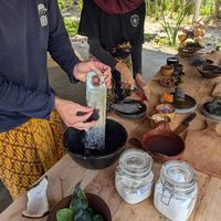  at Saifana Organic Farm in 